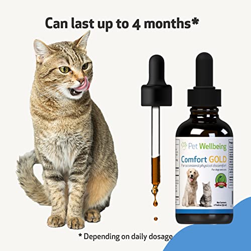 Pet Wellbeing Comfort Gold for Cats - Vet-Formulated - Supports Feline Physical Comfort - Natural Herbal Supplement 2 oz (59 ml)