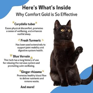 Pet Wellbeing Comfort Gold for Cats - Vet-Formulated - Supports Feline Physical Comfort - Natural Herbal Supplement 2 oz (59 ml)