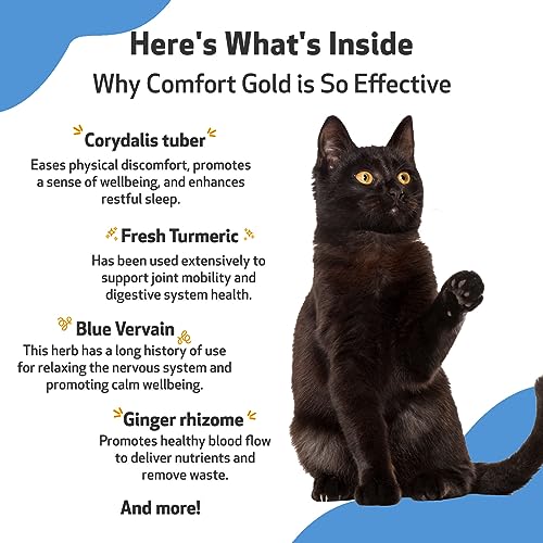 Pet Wellbeing Comfort Gold for Cats - Vet-Formulated - Supports Feline Physical Comfort - Natural Herbal Supplement 2 oz (59 ml)