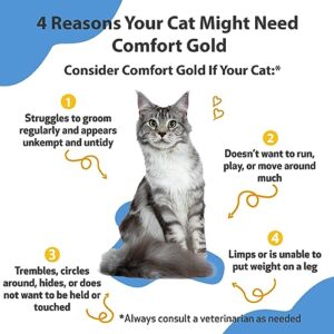 Pet Wellbeing Comfort Gold for Cats - Vet-Formulated - Supports Feline Physical Comfort - Natural Herbal Supplement 2 oz (59 ml)