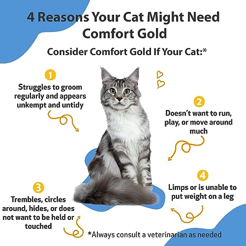 Pet Wellbeing Comfort Gold for Cats - Vet-Formulated - Supports Feline Physical Comfort - Natural Herbal Supplement 2 oz (59 ml)