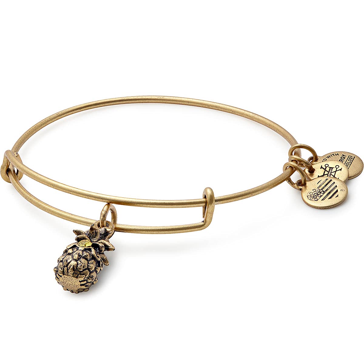 Alex and Ani Path of Symbols Expandable Bangle for Women, Pineapple Charm, Rafaelian Gold Finish, 2 to 3.5 in