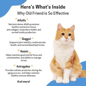 Pet Wellbeing Old Friend for Senior Cats - Vet-Formulated - Aging Immune System & Joint Mobility Support in Older Felines - Natural Herbal Supplement 2 oz (59 ml)