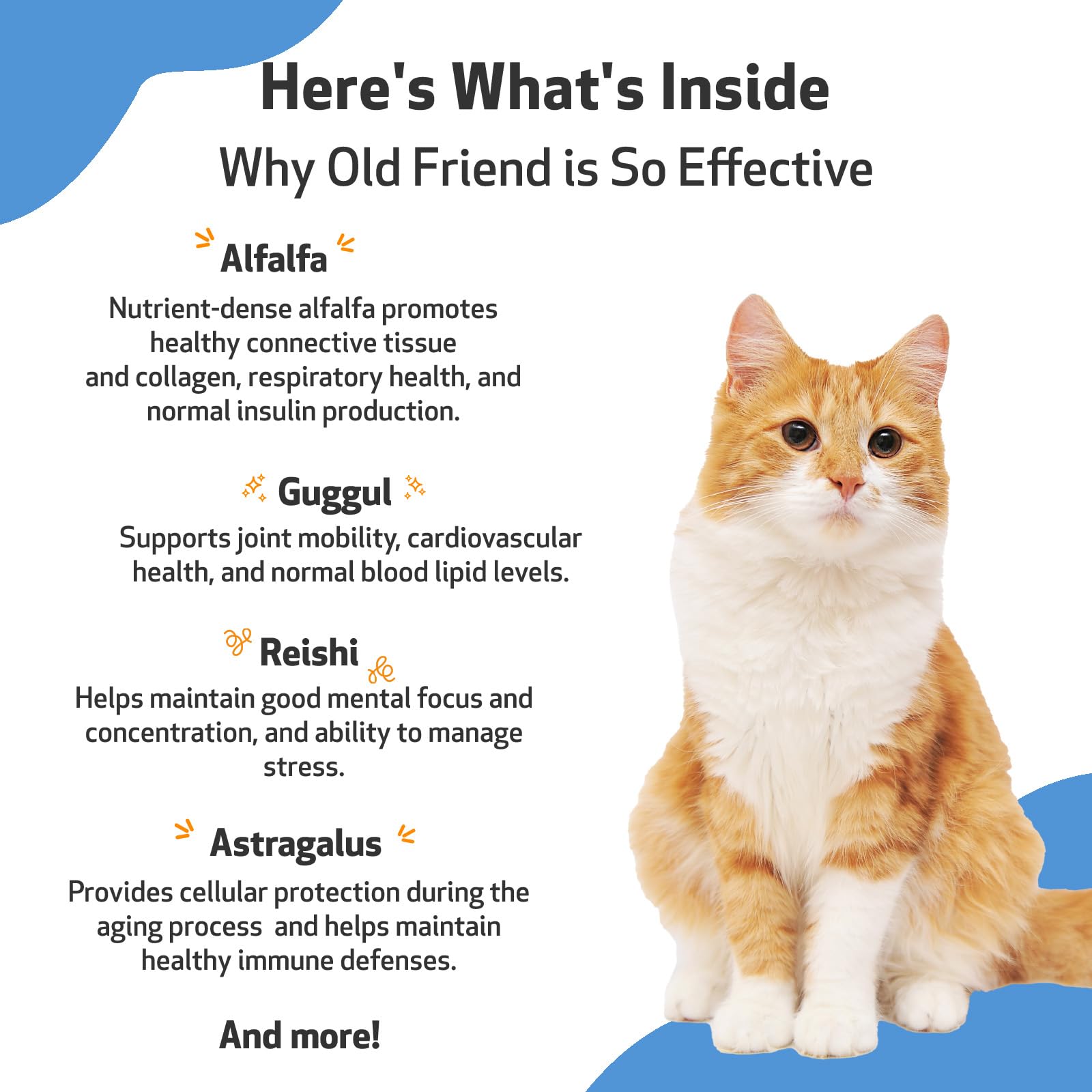 Pet Wellbeing Old Friend for Senior Cats - Vet-Formulated - Aging Immune System & Joint Mobility Support in Older Felines - Natural Herbal Supplement 2 oz (59 ml)