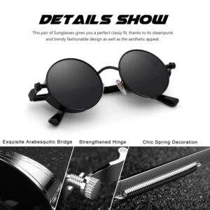 CGID E72 Retro Steampunk Style Inspired Round Metal Circle Polarized Sunglasses for Women Men