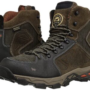 Irish Setter Men's Ravine-2880 Hunting Shoes, Gray/Black, 9 D US