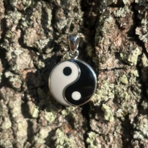 Jewelry Trends Sterling Silver Yin Yang Black and White Balance Symbol Tao Pendant