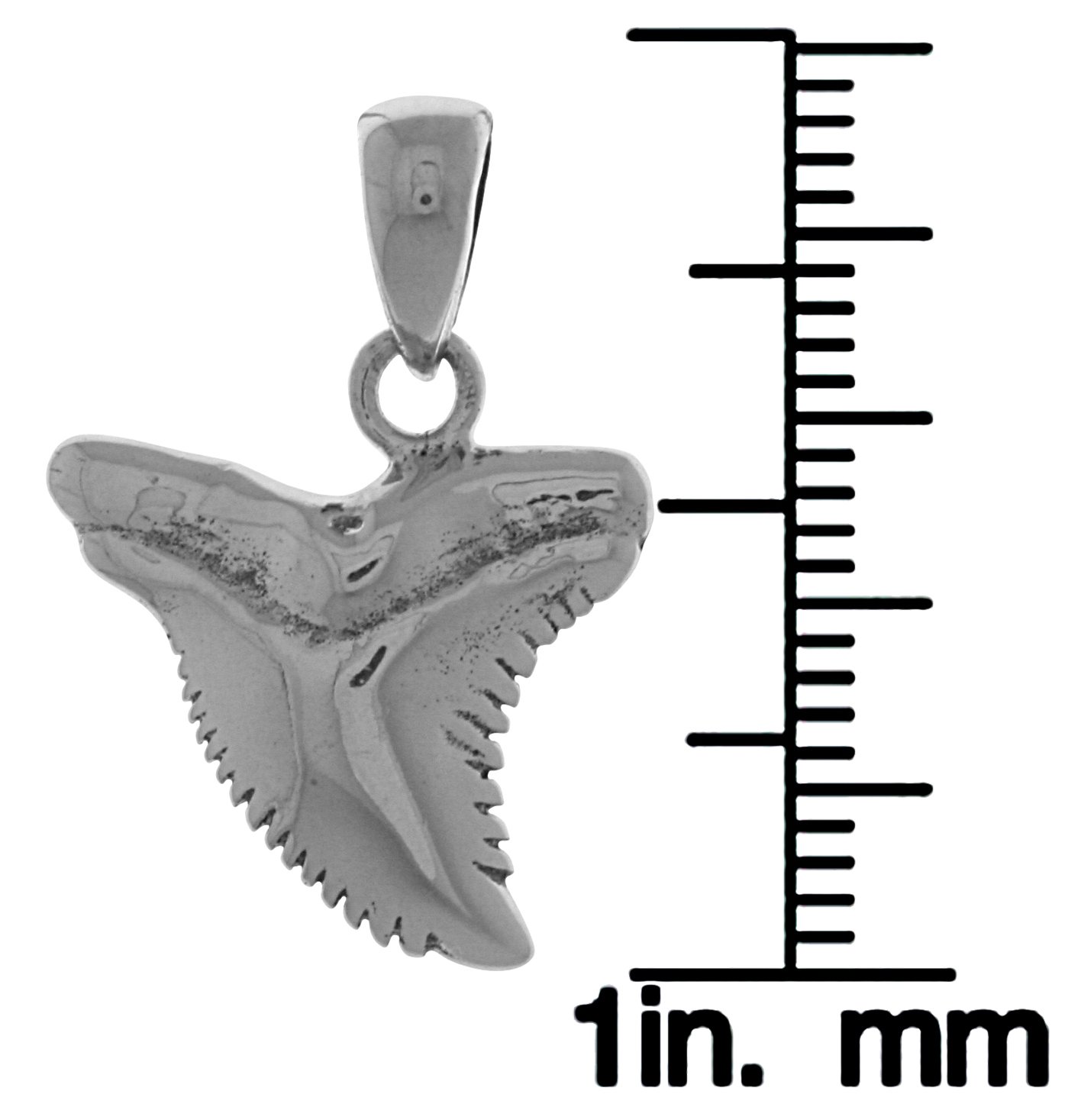 Jewelry Trends Sterling Silver Shark Tooth Pendant