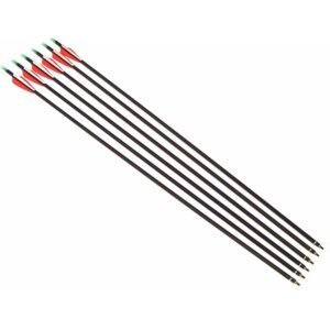 Fay Outdoor Sport 12PK Spine 450 Carbon Arrows Archery Hunting and Targeting Arrow with 100 Grain Points for Compound Recurve and Long Bow with Extra Field Tips (29 Inch)