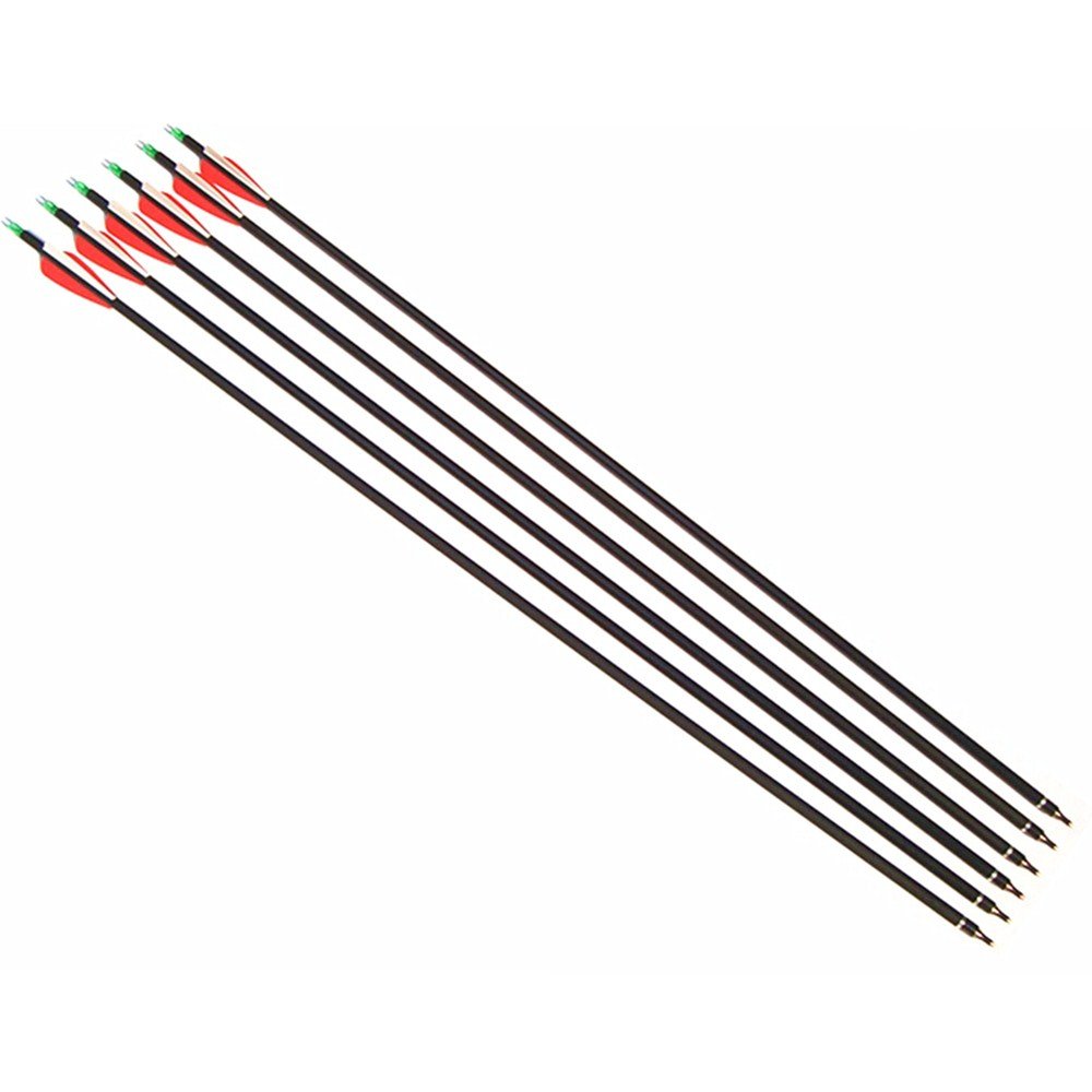 Fay Outdoor Sport 12PK Spine 450 Carbon Arrows Archery Hunting and Targeting Arrow with 100 Grain Points for Compound Recurve and Long Bow with Extra Field Tips (29 Inch)