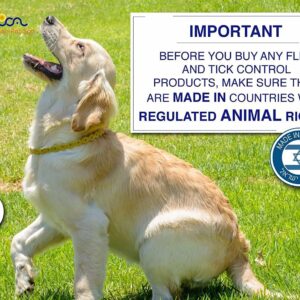 Arava Flea and Tick Collar for Dogs & Puppies - Natural Flea and Tick Prevention for Dogs - 22" Length - 11 Natural Active Ingredients - Safe for Babies & Pets - Enhanced Control & Defense