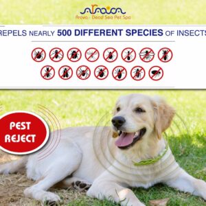 Arava Flea and Tick Collar for Dogs & Puppies - Natural Flea and Tick Prevention for Dogs - 22" Length - 11 Natural Active Ingredients - Safe for Babies & Pets - Enhanced Control & Defense