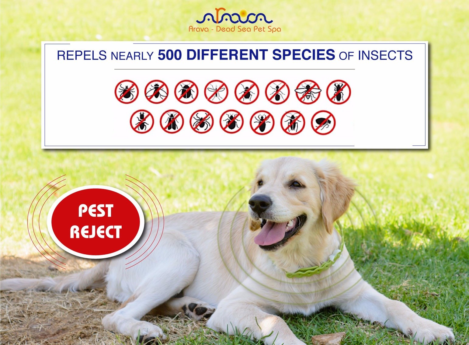 Arava Flea and Tick Collar for Dogs & Puppies - Natural Flea and Tick Prevention for Dogs - 22" Length - 11 Natural Active Ingredients - Safe for Babies & Pets - Enhanced Control & Defense