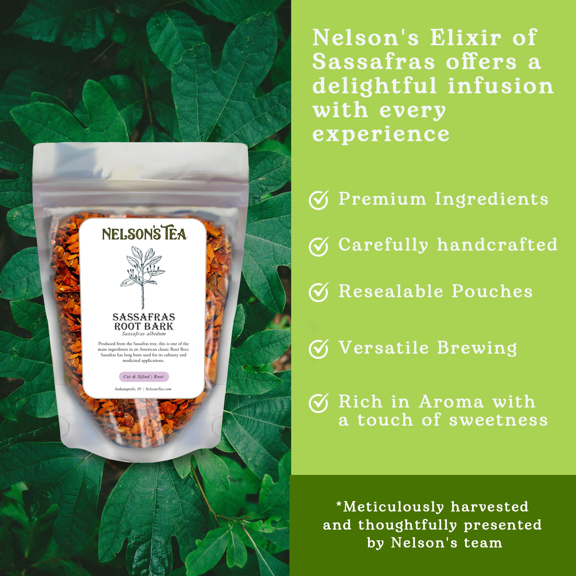 Nelson's Tea - Sassafras Root Bark - Cut & Sifted Sassafras Root Beer Flavor - Sassafras Albidum (4 Oz)