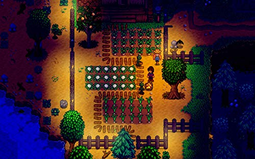 Stardew Valley: Collector's Edition - PlayStation 4