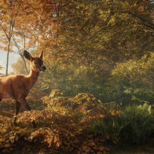 theHunter: Call of the Wild - PC