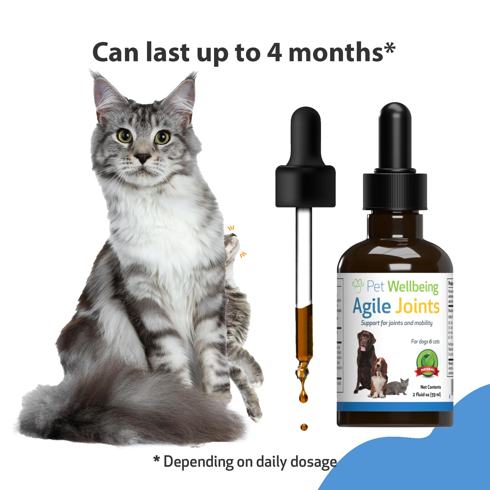 Pet Wellbeing Agile Joints for Cats - Vet-Formulated - Joint Health, Mobility, Ease of Movement - Natural Herbal Supplement 2 oz (59 ml)