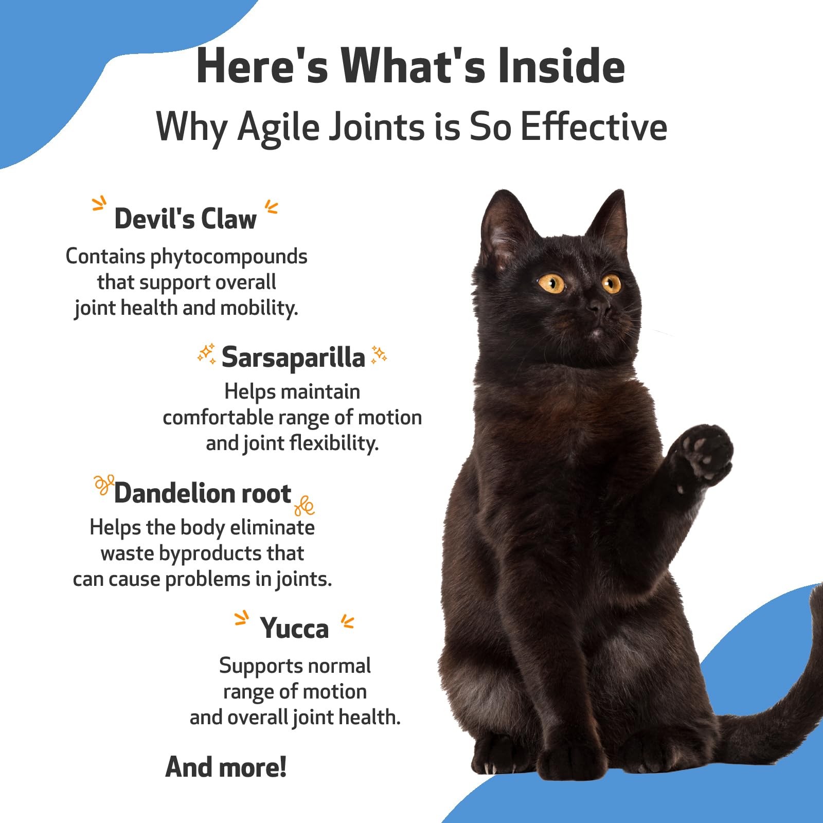 Pet Wellbeing Agile Joints for Cats - Vet-Formulated - Joint Health, Mobility, Ease of Movement - Natural Herbal Supplement 2 oz (59 ml)