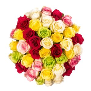 fresh roses- 100 assorted color flowers- lovely gift (om)