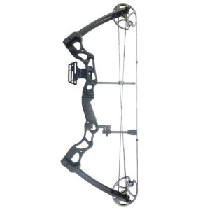 iGlow 40-70 lbs Black Archery Hunting Compound Bow 175 150 60 55 30 lb Crossbow