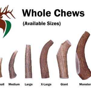 Elkhorn Premium Chews - Small Whole Single Pack (for 10-30 lb Dogs and Puppies) Premium Grade Elk Antler for Dogs (1 Piece) Sourced in The USA