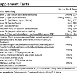 Andrew Lessman Immune Factors 180 Capsules – Echinacea, Goldenseal, Vitamin C, Astragalus, Berberine, Mushroom Blend, Black Currant. Supports and Promotes Immune System and Natural Defenses