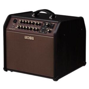 Boss Acoustic Singer Pro 120-Watt Bi-Amp Acoustic Combo with FX