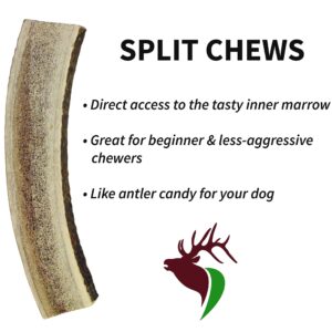 Elkhorn Premium Chews - Large Split Single Pack (for 30-50 lb Dogs) Premium Grade Elk Antler for Dogs (1 Piece) Sourced in The USA