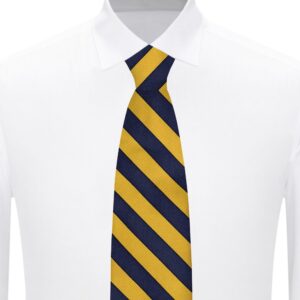 Jacob Alexander Stripe Woven Men's Reg College Bar Stripe Tie - Gold Navy