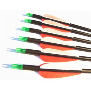 fay outdoor sport 12pk 600 spine carbon arrows archery hunting targeting arrow with 100 grain points for compound recurve and long bow with extra field tips (28 inch)