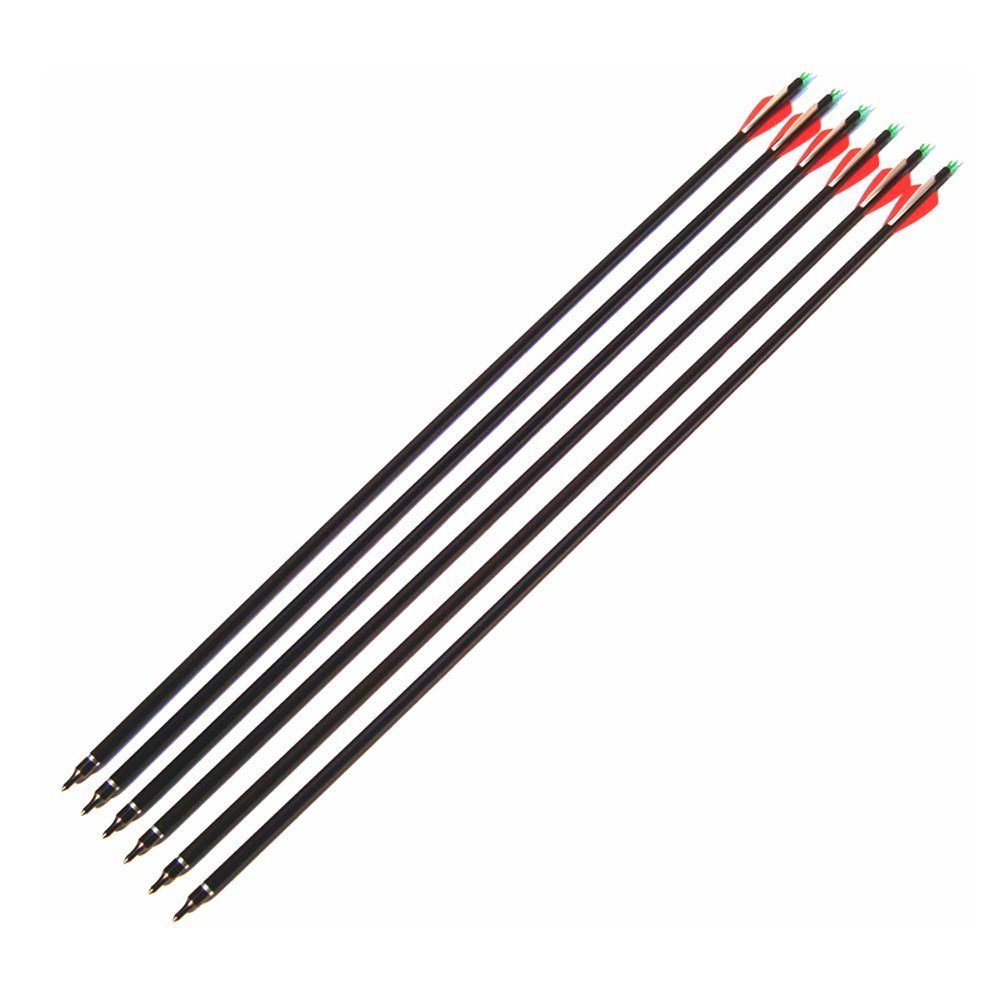 Fay Outdoor Sport 12pk 600 Spine Carbon Arrows Archery Hunting Targeting Arrow with 100 Grain Points for Compound Recurve and Long Bow with Extra Field Tips (28 Inch)