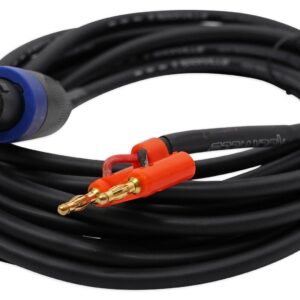 Rockville 20 Foot Speakon to Banana Speaker Cable, 16 Gauge, 100% Copper (RSB16),Black