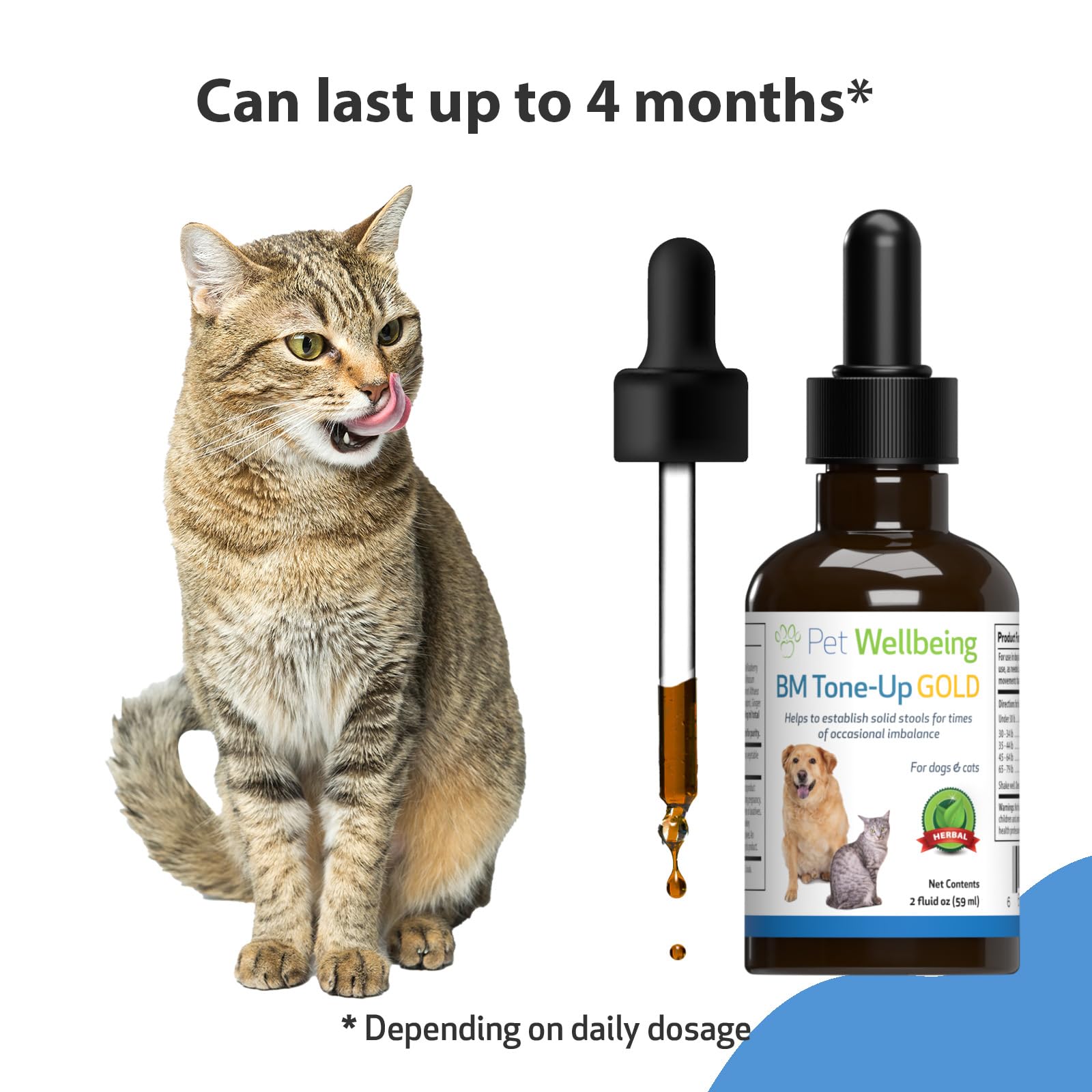 Pet Wellbeing BM Tone-Up Gold for Cats - Vet-Formulated - Diarrhea & Loose or Runny Stools - Natural Herbal Supplement 2 oz (59 ml)