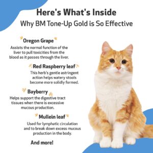 Pet Wellbeing BM Tone-Up Gold for Cats - Vet-Formulated - Diarrhea & Loose or Runny Stools - Natural Herbal Supplement 2 oz (59 ml)