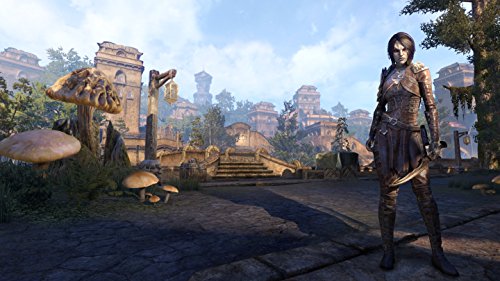 The Elder Scrolls Online: Morrowind - Xbox One