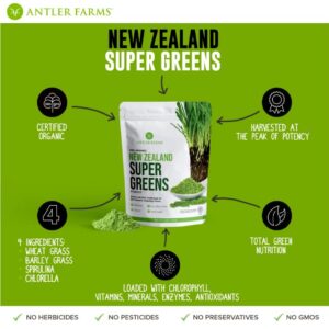 Antler Farms - 100% Pure Organic New Zealand Super Greens Powder, 40 Servings, 200g - Wheat Grass, Barley Grass, Chlorella, Spirulina - Vegan, Gluten Free, Chlorophyll Rich, for Energy and Detox