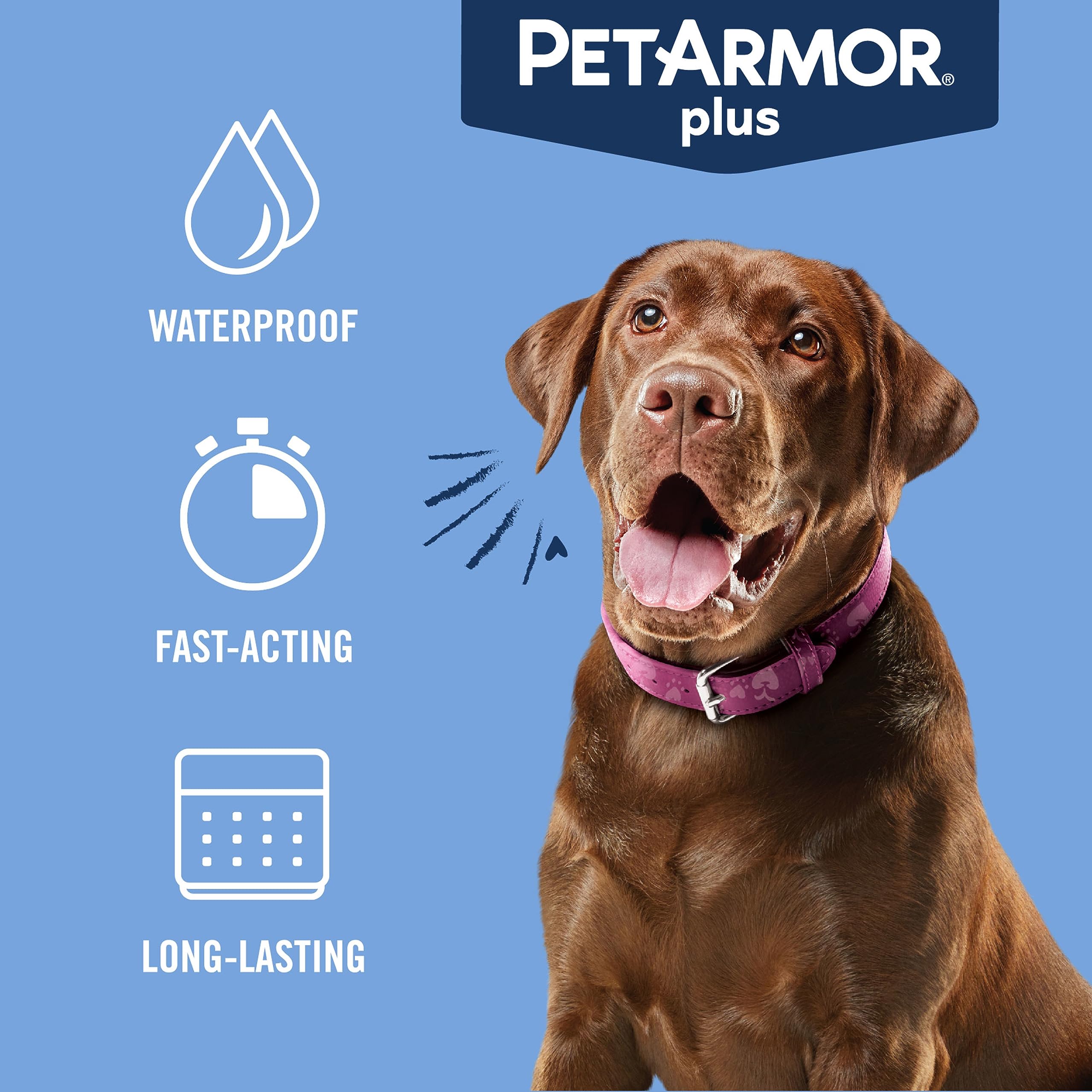 PetArmor Plus Flea and Tick Prevention for Dogs, Dog Flea and Tick Treatment, 6 Doses, Waterproof Topical, Fast Acting, Large Dogs Dogs (45-88 lbs)