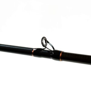 Phantom Favorite Casting Rod