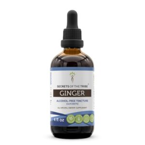 secrets of the tribe ginger tincture alcohol-free extract, ginger (zingiber officinale) dried root 4 oz