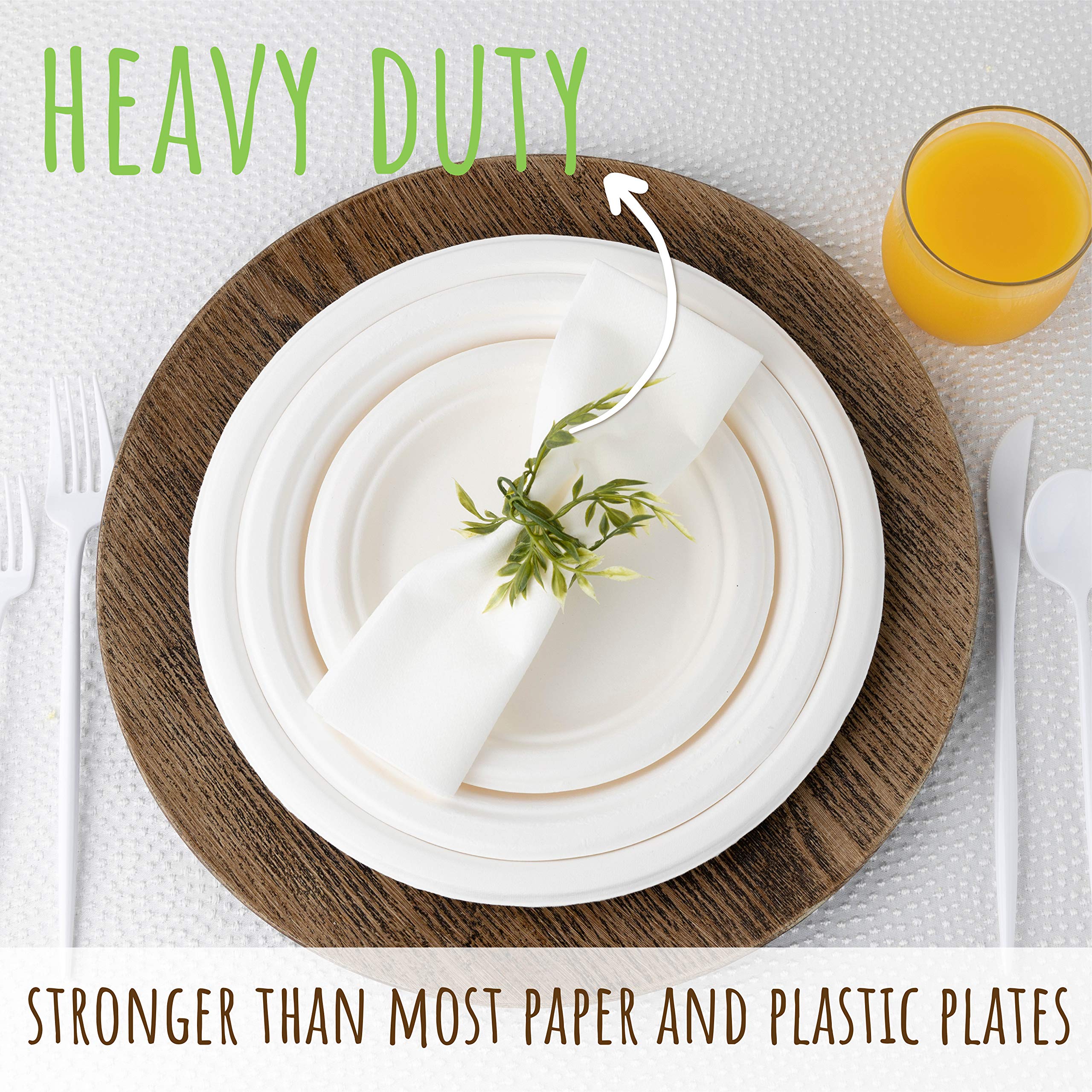 brheez 10 in. Disposable Plates Paper Plates Alternative Compostable Plates Heavy Duty [Pack of 60] Eco-Friendly 100% Natural Sugarcane Bagasse Fiber Biodegradable