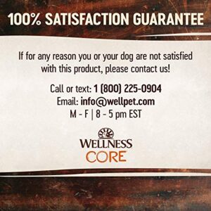 Wellness CORE+ Grain-Free Dry Dog Food, Natural Ingredients, Made in USA with Real Freeze-Dried Meat (Adult, Turkey, 20 lbs)