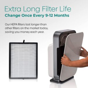 Alen Air Filter B4-Pure Replacement H13 True HEPA Filter for BreatheSmart 45i & Flex Air Purifier - Captures Allergens, Dust, & Mold (1 Filter)