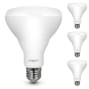 Feit Electric BR30 LED Light Bulbs, 65W Equivalent, Non Dimmable, 10 Year Life, 650 Lumens, 5000K Daylight, E26 Base Recessed Can Light Bulbs, Flood Light Bulbs, Damp Rated, 3 Pack, BR30/850/10KLED/3