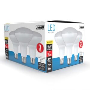 Feit Electric BR30 LED Light Bulbs, 65W Equivalent, Non Dimmable, 10 Year Life, 650 Lumens, 5000K Daylight, E26 Base Recessed Can Light Bulbs, Flood Light Bulbs, Damp Rated, 3 Pack, BR30/850/10KLED/3