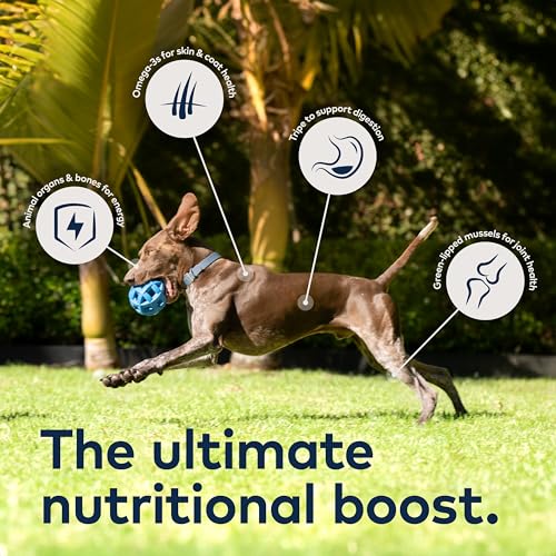 ZIWI Peak Air-Dried Dog Food – All Natural, High Protein, Grain Free and Limited Ingredient with Superfoods, Beef, 8.8 Pound (Pack of 1)