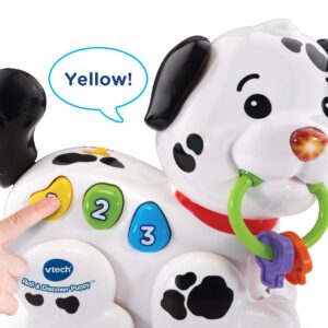 VTech Roll & Discover Puppy