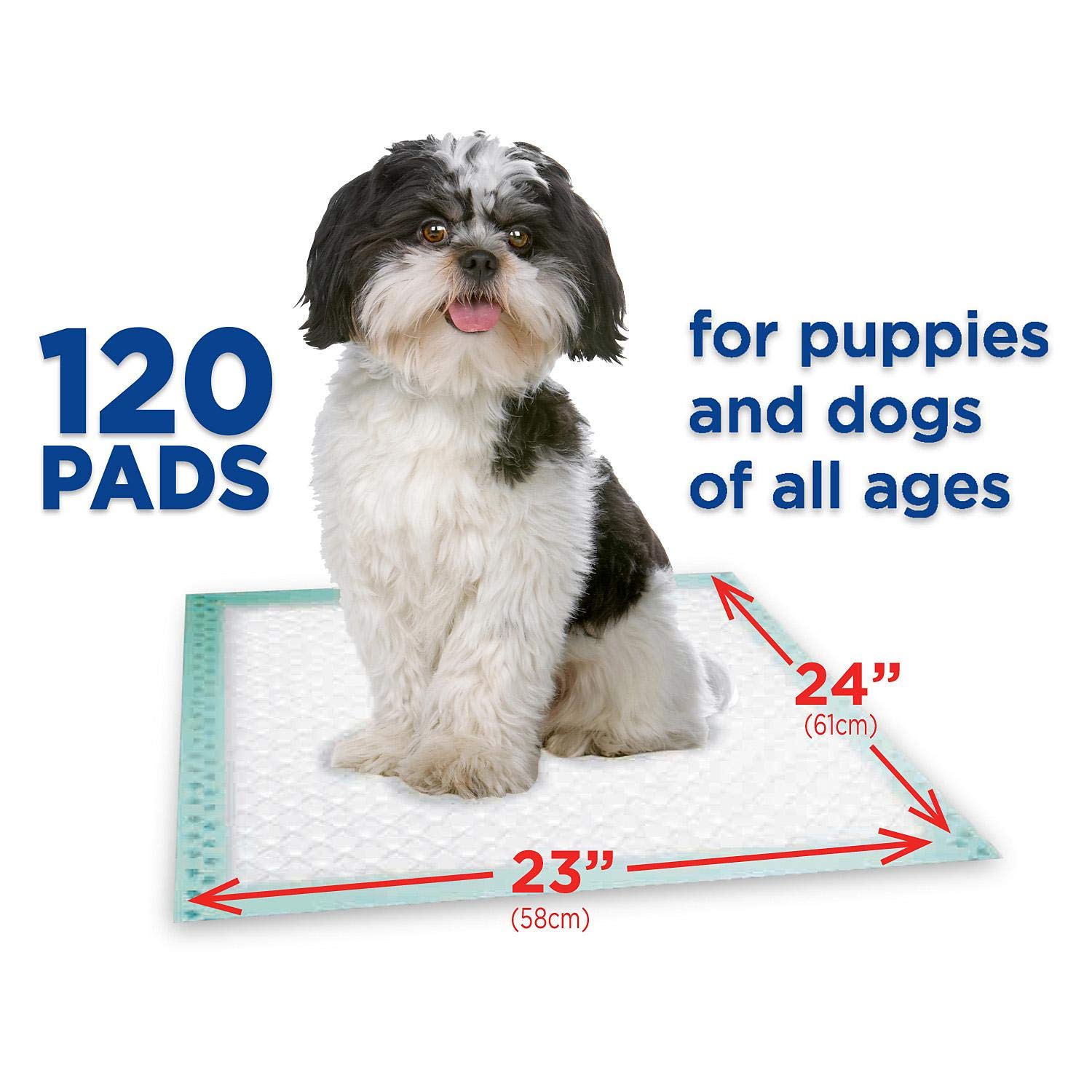 Member's Mark Pet Training Pads, 23" x 24" (120 ct.)