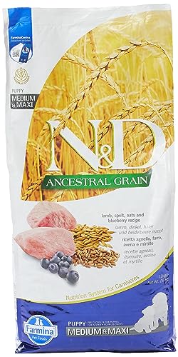 Farmina Lamb and Ancient Grains Medium/Maxi Breed Adult Dry Dog Food, 26.4 Pounds