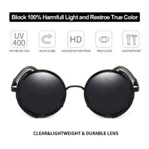 Dollger Steampunk Vintage Retro Round Sunglasses Metal Circle Frame (Black Lens+Black Frame,100% UV Protection Lens)