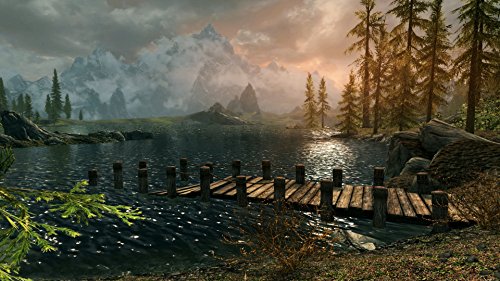 The Elder Scrolls: Skyrim [Nintendo Switch]